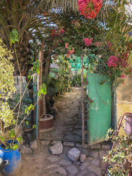 Garten in Fes